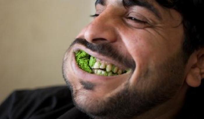 Yemen, qat e rivoluzione