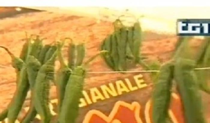 0005B5-NEWS_2742 La Repubblica del peperoncino