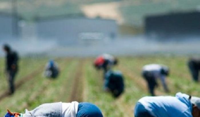 Immigrati: la raccolta di pomodori diventa una canzone