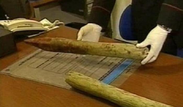 Uccise un carabiniere, rito abbreviato