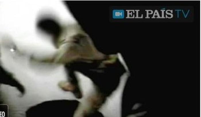 Iraq, soldati spagnoli maltrattano prigionieri. È scandalo a Madrid