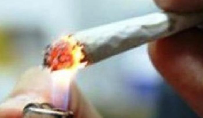 Sempre più cannabis tra gli adolescenti