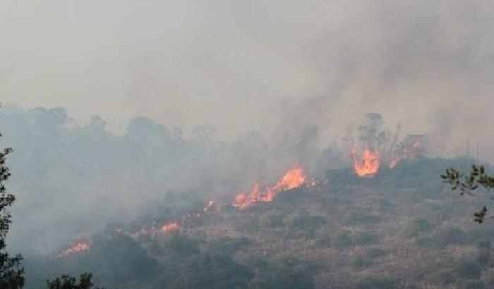 00BA0E-NEWS_92636 Sardegna in fiamme, quattro i feriti
