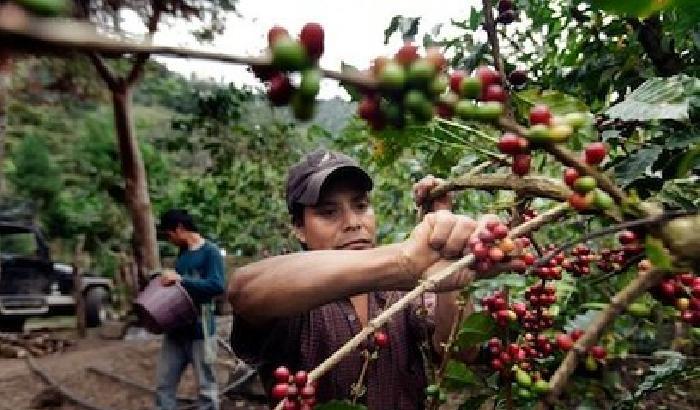 Da Roma al Chiapas, il viaggio in un click