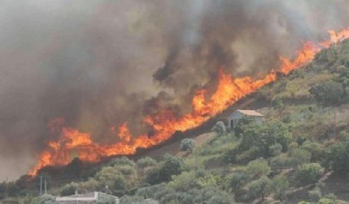 Sardegna bruciata: 1539 incendi nell'isola