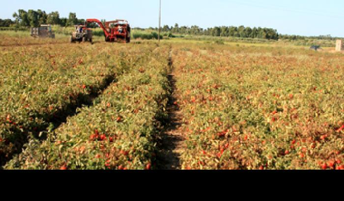 Clima, in Sardegna contadini e pastori insieme