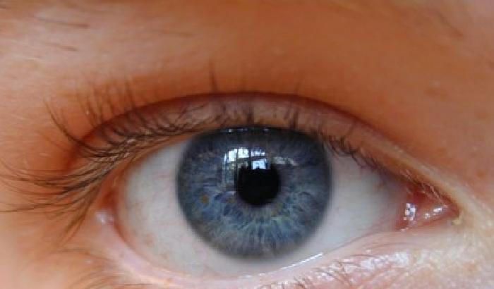 Ecco l'occhio bionico: aiuta a combattere la cecità