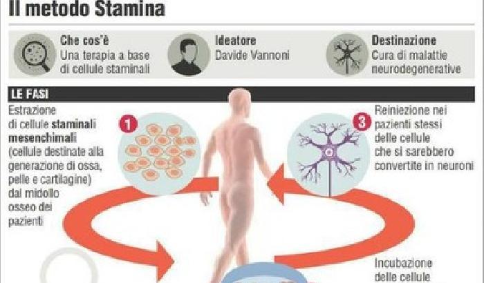 Stamina: un decreto impone lo stop alle sperimentazioni