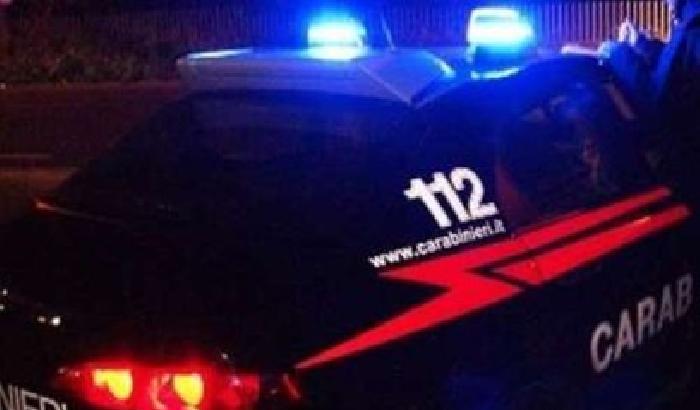 Incendio in rimessa agricola, carabinieri salvano cane ferito