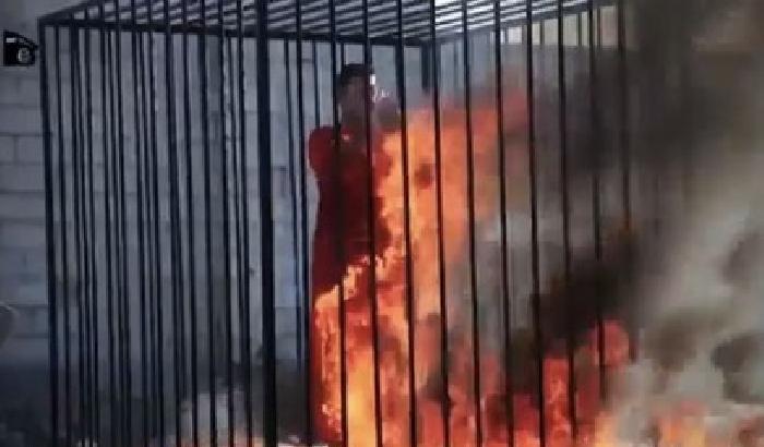 Pilota giordano arso vivo dall'Isis