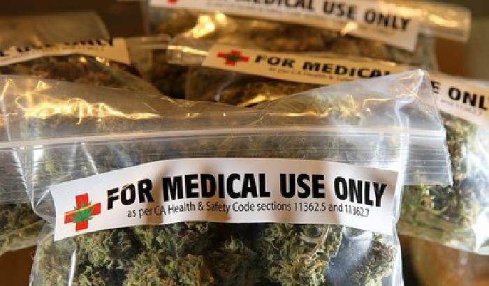 La fabbrica di cannabis a scopo terapeutico partirà entro febbraio