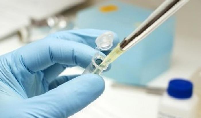 Scoperto un gene per spegnere il cancro