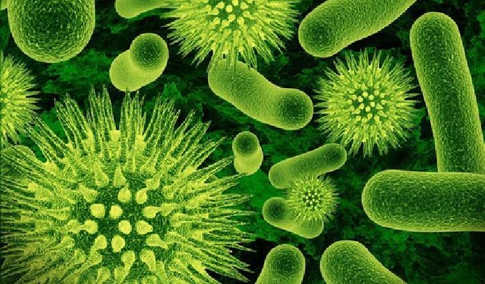 Batteri resistenti agli antibiotici: si rischiano 80mila morti