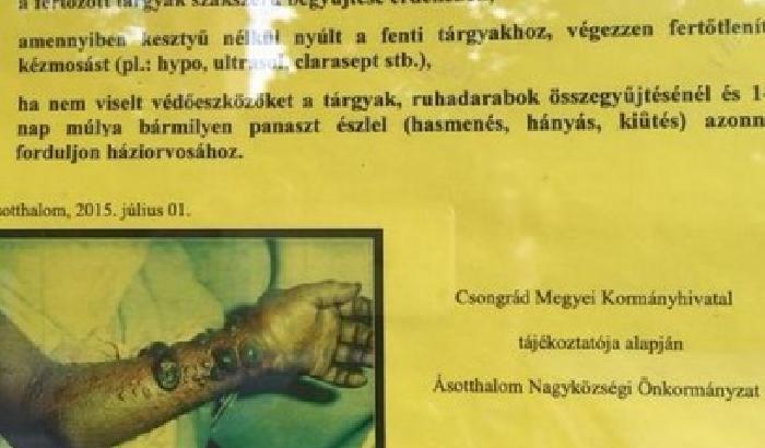 Ungheria shock: sono malati, non toccateli!