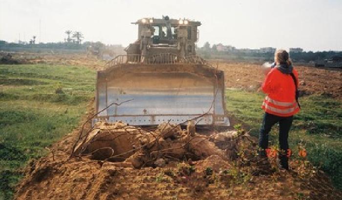 Rachel Corrie