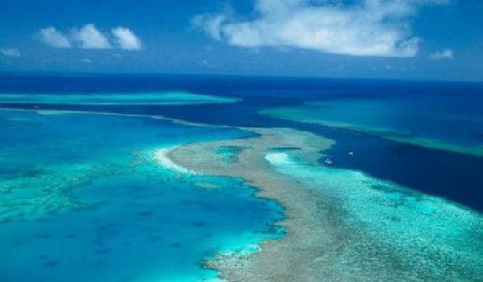 Sbiancamento della Grande barriera corallina australiana