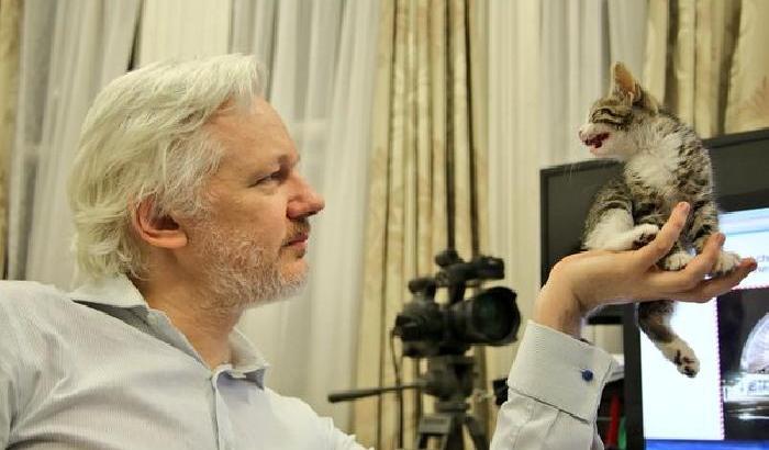 031594-julian-assange-con-il-suo-nuovo-amico-embassy-cat Julian Assange con il suo nuovo amico, Embassy Cat