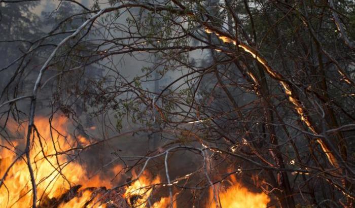 Incendio in Sicilia