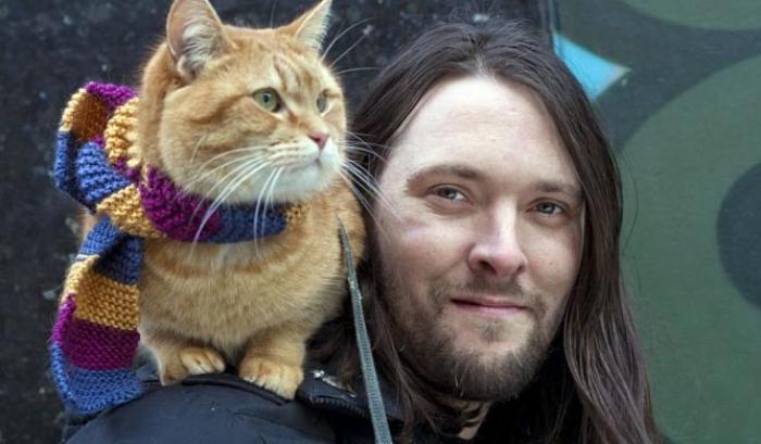 "A spasso con Bob", la storia vera di un uomo e il gatto che gli salva la vita