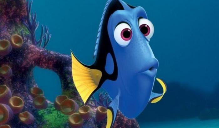 Alla ricerca di Dory