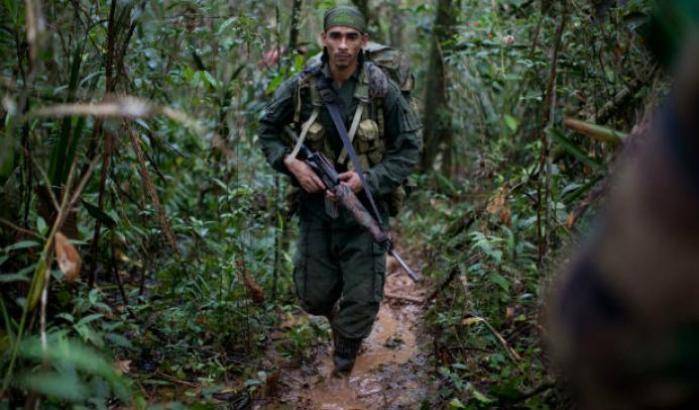 Le Farc smobilitano e la giungla cade preda della deforestazione