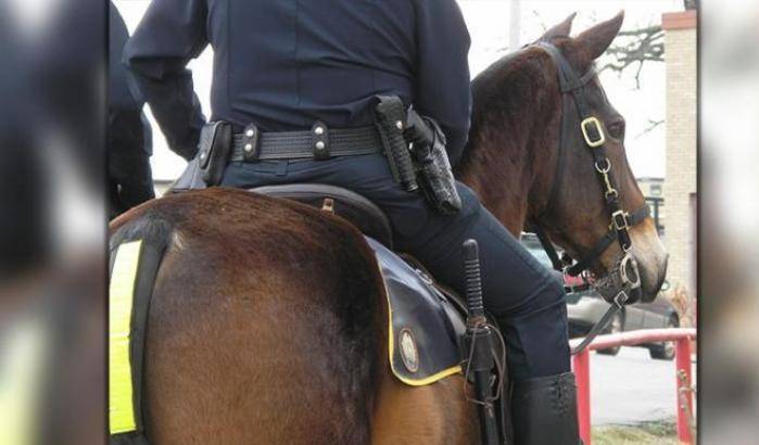 Cavallo della polizia