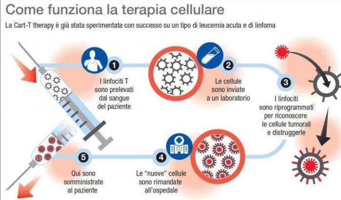 Una nuova sperimentazione contro il mieloma: utilizzata una terapia cellulare