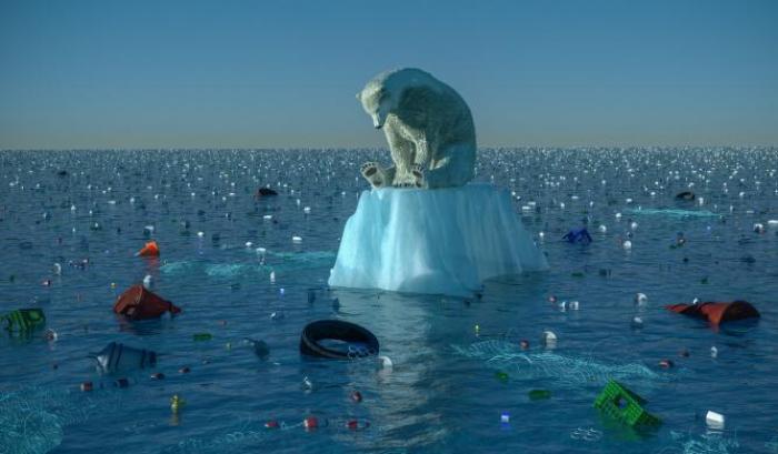 L'inquinamento atmosferico sta per causare la sesta estinzione di massa del pianeta