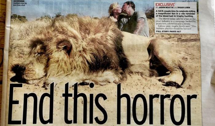 Bacio accanto a un leone morto: un'agenzia di safari finisce nella tempesta