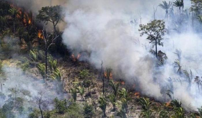 Le follie di Bolsonaro: "Gli incendi in Amazzonia? Colpa di Ong e ambientalisti"