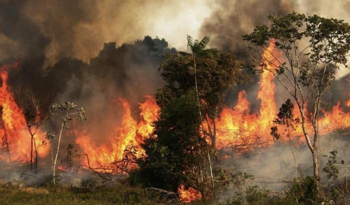 Amazzonia in fiamme e Bolsonaro se la prende con Macron: "Colonialista"