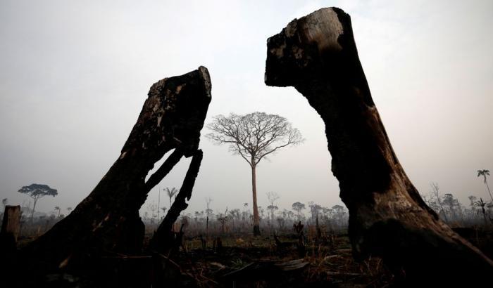 00053A89-uno-scatto-dall-amazzonia-in-fiamme Uno scatto dall'Amazzonia in fiamme