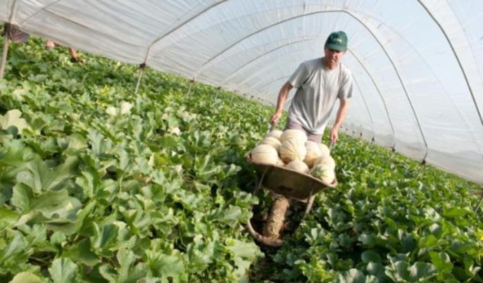 In memoria di un bracciante agricolo, morto senza una notizia nel Paese indifferente