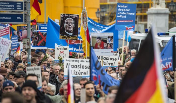 Manifestazione Afd