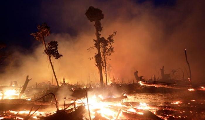 Amazzonia in fiamme