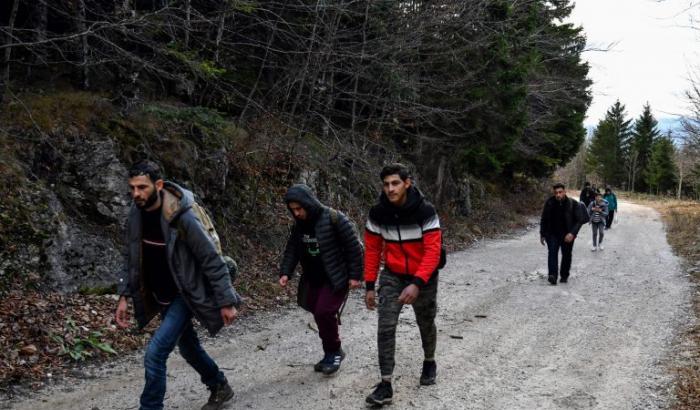 Migranti