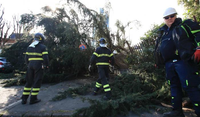 Milano, il forte vento abbatte diversi alberi