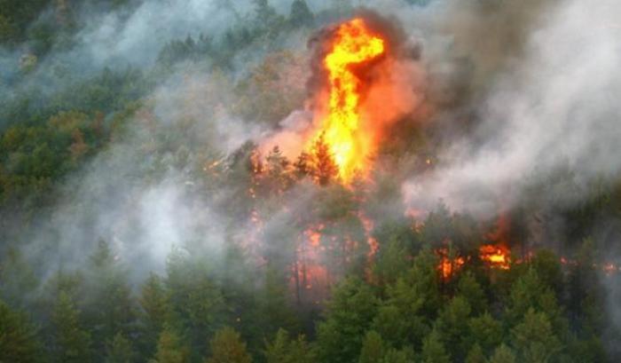 È un inverno così caldo che è già scattato l'allarme incendi