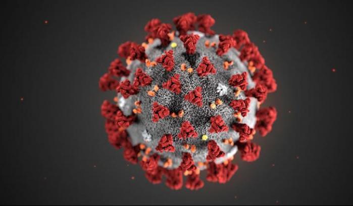 Ecco chi muore di Coronavirus secondo l'Oms