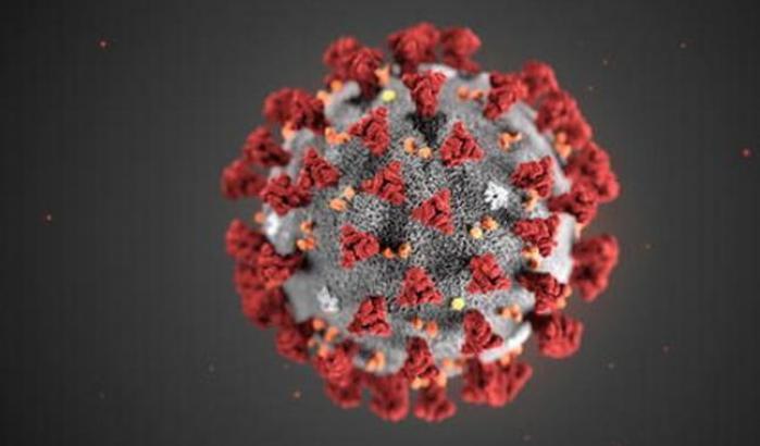 Identificata in Germania molecola che blocca il "motore" del coronavirus
