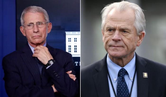 Anthony Fauci e Peter Navarro