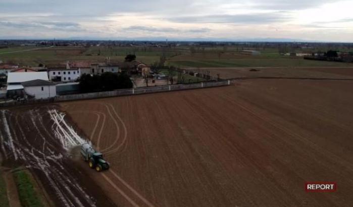 00056138-un-fotogramma-della-puntata-di-report Un fotogramma della puntata di Report