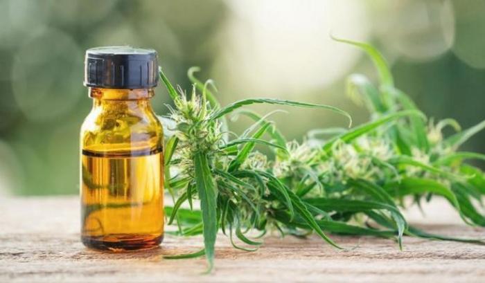 Le proprietà del Cbd, ossia il cannabidiolo