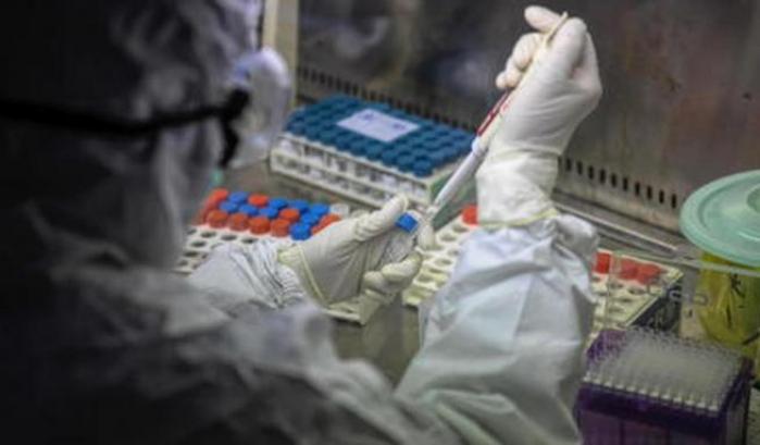 Vaccino italiano sembra funzionare: gli anticorpi bloccano il virus