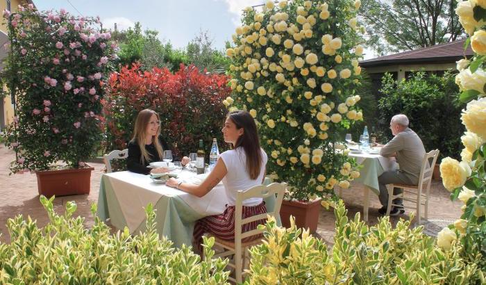 Contro il coronavirus arriva la siepe anti-contagio per bar e ristoranti