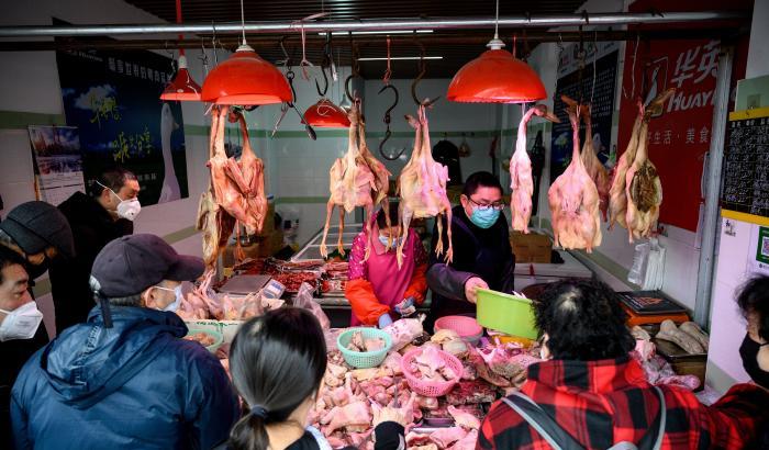 (Finalmente) a Wuhan vietata la carne selvaggina per 5 anni