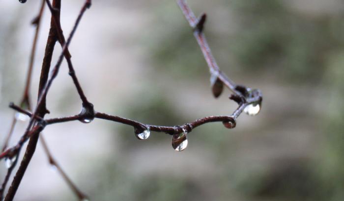 Giugno inizia sotto tono: piogge fino al weekend