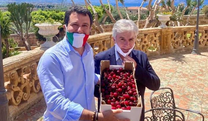 Salvini