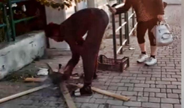 L'uomo che cucina un gatto per strada