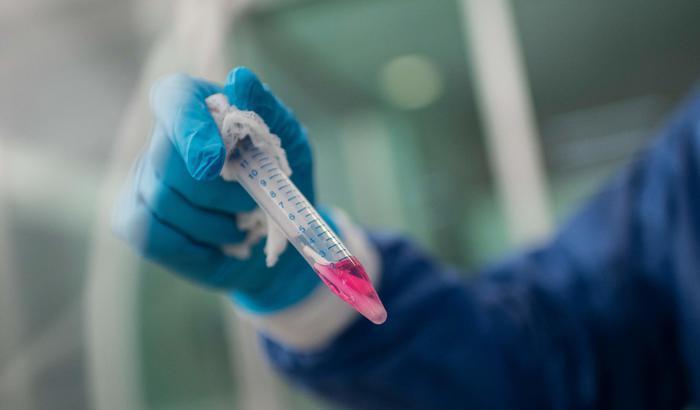 Coronavirus, altri 162 casi in più in 24 ore